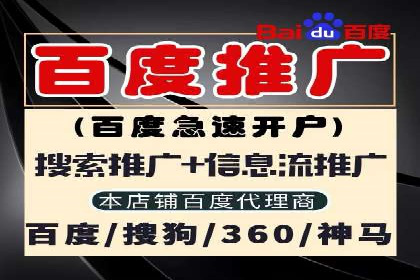 竞价推广代运营：成功案例解析
